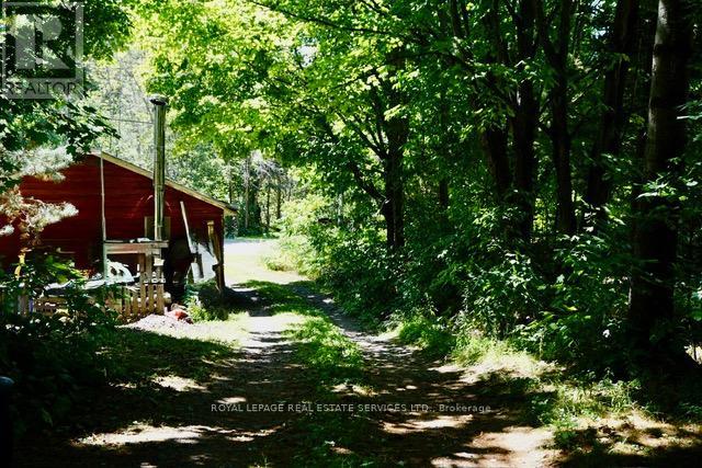 1116 MOON RIVER ROAD - 4