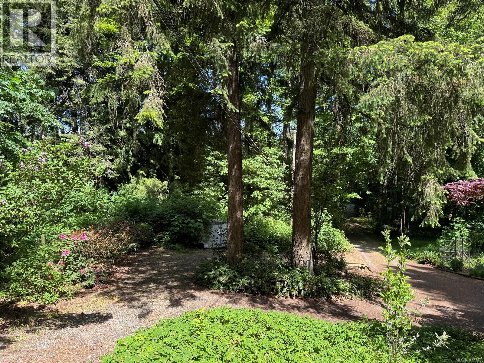 2980 Jackson Rd - 29