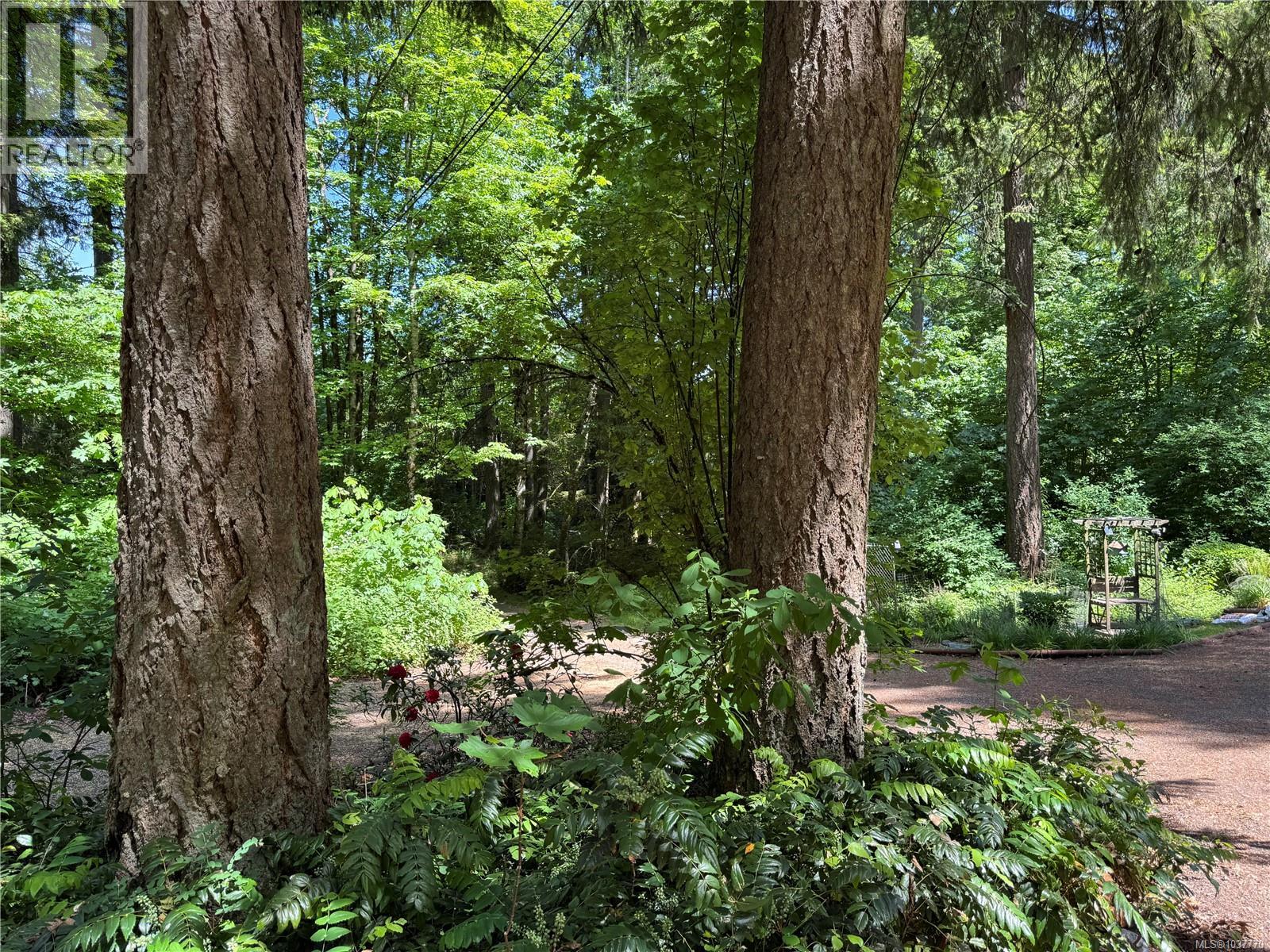 2980 Jackson Rd - 41