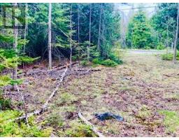 Lot 43 Warner Bay Road, Northern Bruce Peninsula, ON N0H2R0 Photo 10