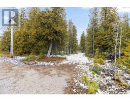 Lot 43 Warner Bay Road, Northern Bruce Peninsula, ON N0H2R0 Photo 11