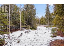 Lot 43 Warner Bay Road, Northern Bruce Peninsula, ON N0H2R0 Photo 14