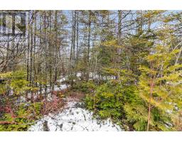 Lot 43 Warner Bay Road, Northern Bruce Peninsula, ON N0H2R0 Photo 15