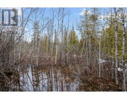 Lot 43 Warner Bay Road, Northern Bruce Peninsula, ON N0H2R0 Photo 16