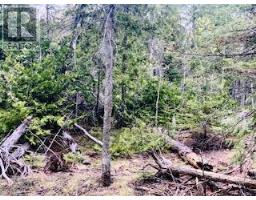 Lot 43 Warner Bay Road, Northern Bruce Peninsula, ON N0H2R0 Photo 6