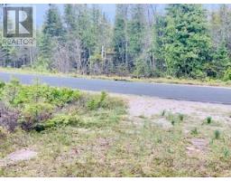Lot 43 Warner Bay Road, Northern Bruce Peninsula, ON N0H2R0 Photo 8