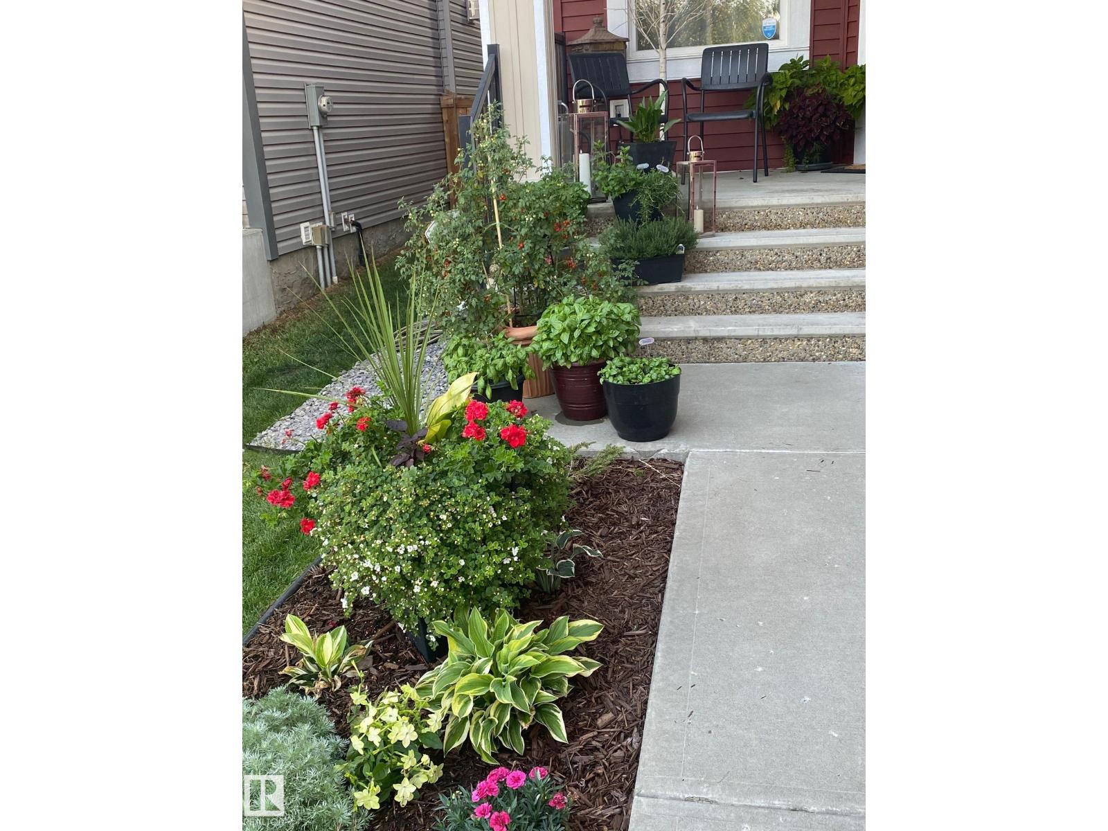 1359 WESTERRA DR - 54