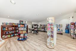 10086 164 St Nw, Edmonton, AB T5P4Y3 Photo 13