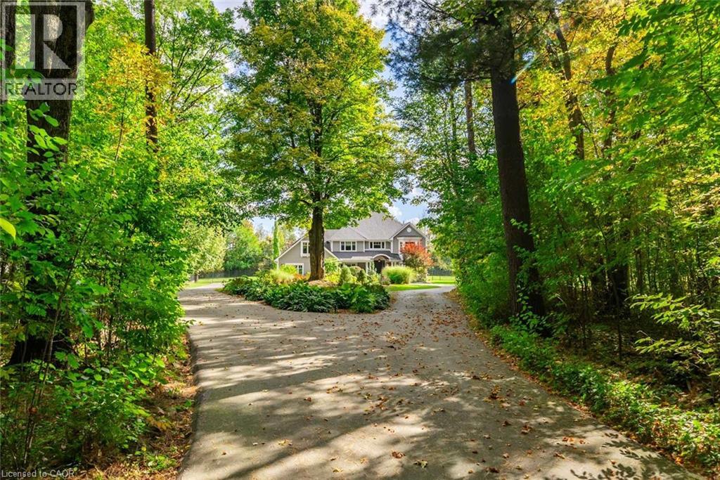 6502 MCNIVEN Road - Image 3