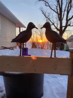 233 Stammen Drive, Ste Rose Du Lac, MB R0L1S0 Photo 30