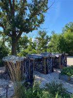 233 Stammen Drive, Ste Rose Du Lac, MB R0L1S0 Photo 31