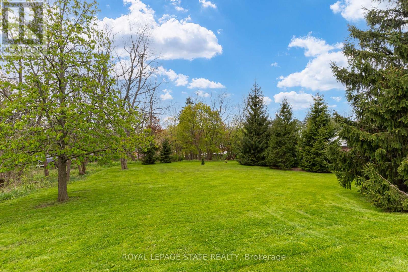 342 MOUNTAIN BROW ROAD - 49