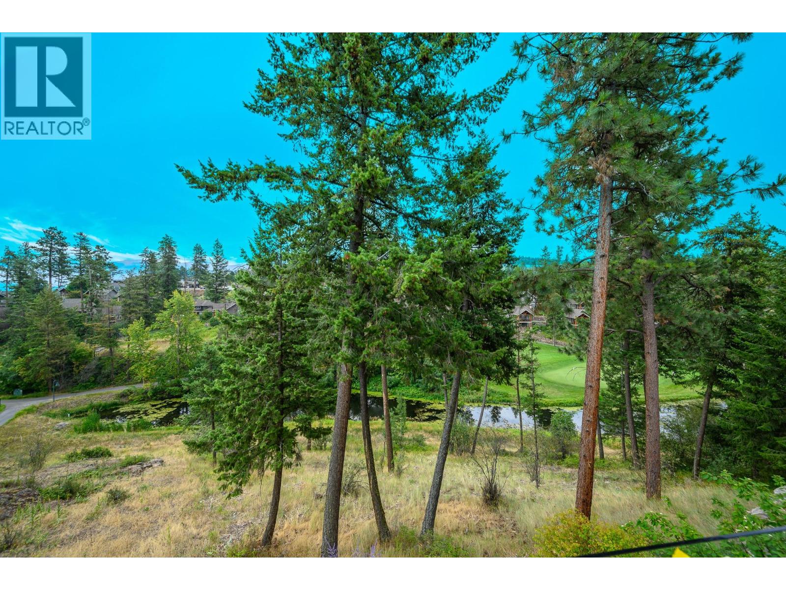 212 Chicopee Road - 21