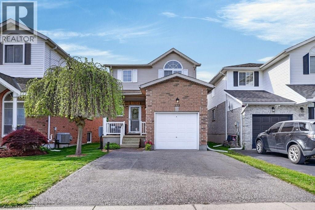 222 GREY FOX Drive - 1