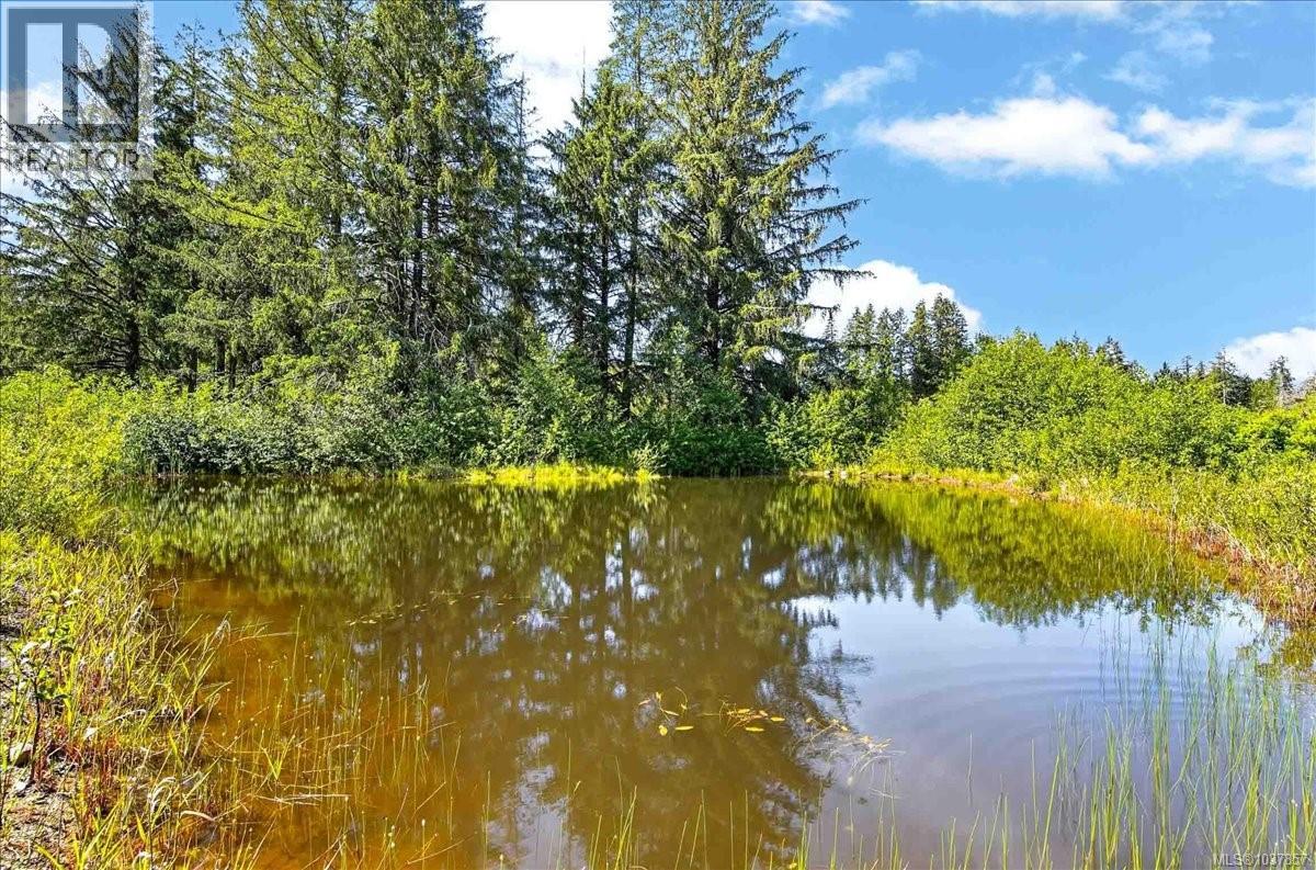 9589 Comox Trail - 35