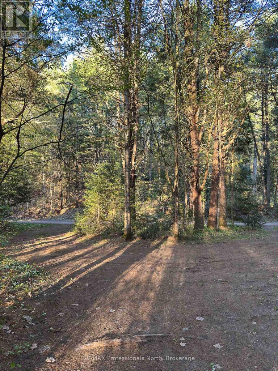 1063 FORRESTER TRAIL N - 33