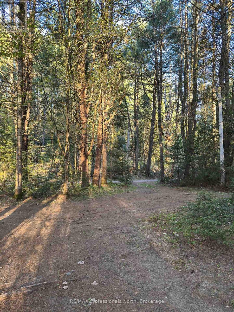 1063 FORRESTER TRAIL N - 34