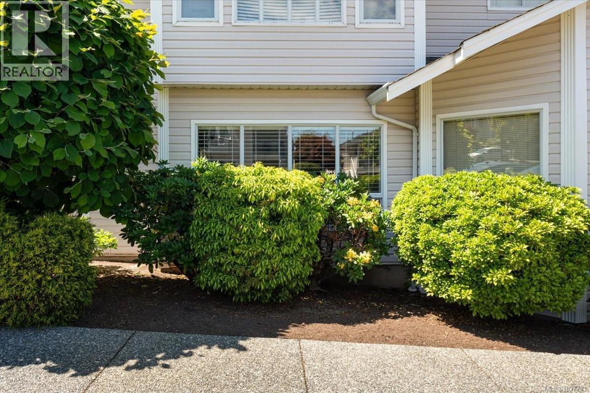 6019 Cedar Grove Dr - 11