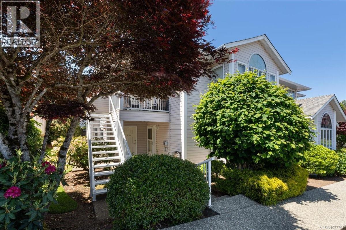6019 Cedar Grove Dr - 12