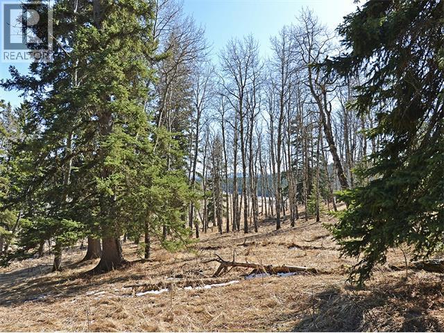 15 Kicking Horse Way - photo 4