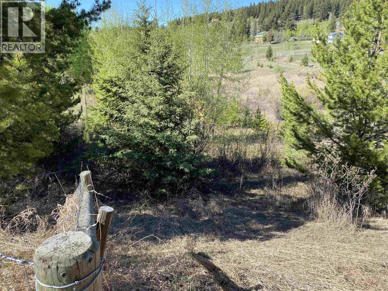4168 LAC LA HACHE STATION Road - photo 2