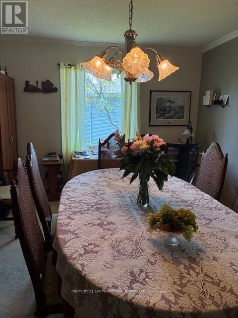 18 CRETNEY DRIVE S - 18