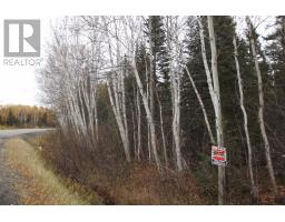 34-60 Rattling Brook Road thumbnail 7