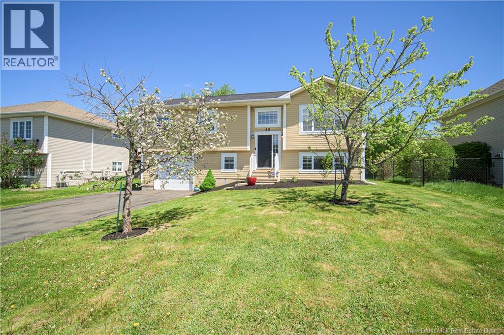 40 Dawson Drive - 25