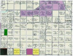 95093 127n Road N, Laurier, MB R0J1A0 Photo 50