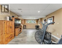 303 Gosfield Townline West, Essex, ON N8M2X5 Photo 37