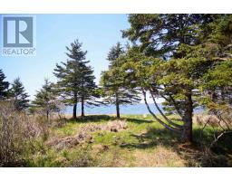 356 Black Point Road, Ingomar, NS B0T1H0 Photo 19