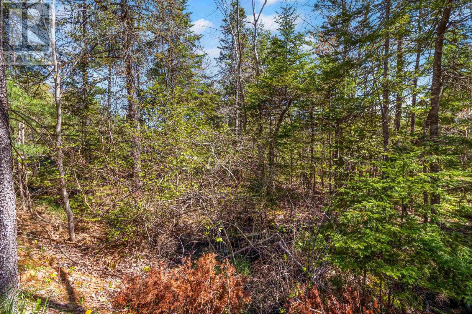 Property 26 of 31 of Lot 2 HIGHWAY 3 Highway