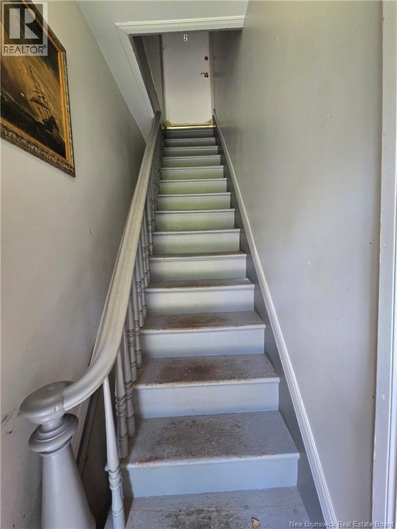 44 Albert Street - 4