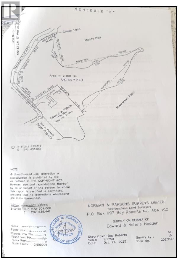 38 North Side Road, Bay Roberts — photo 2