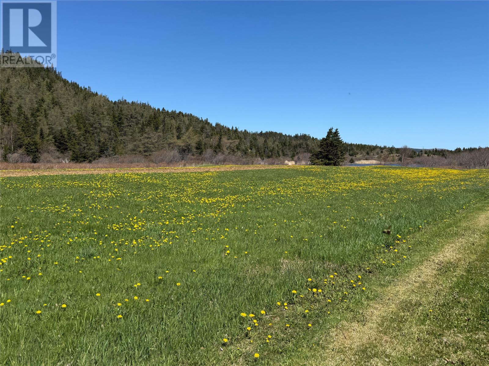38 North Side Road, Bay Roberts — photo 3