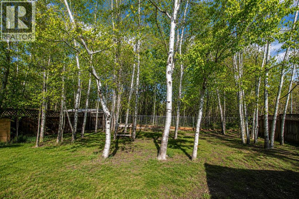 10109 95 Street - 19