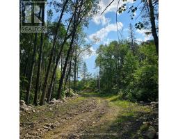 1261 Snake Creek Road, Mattawan, ON P0H1V0 Photo 13