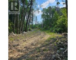 1261 Snake Creek Road, Mattawan, ON P0H1V0 Photo 8
