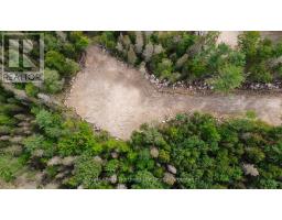 1261 Snake Creek Road, Mattawan, ON P0H1V0 Photo 16