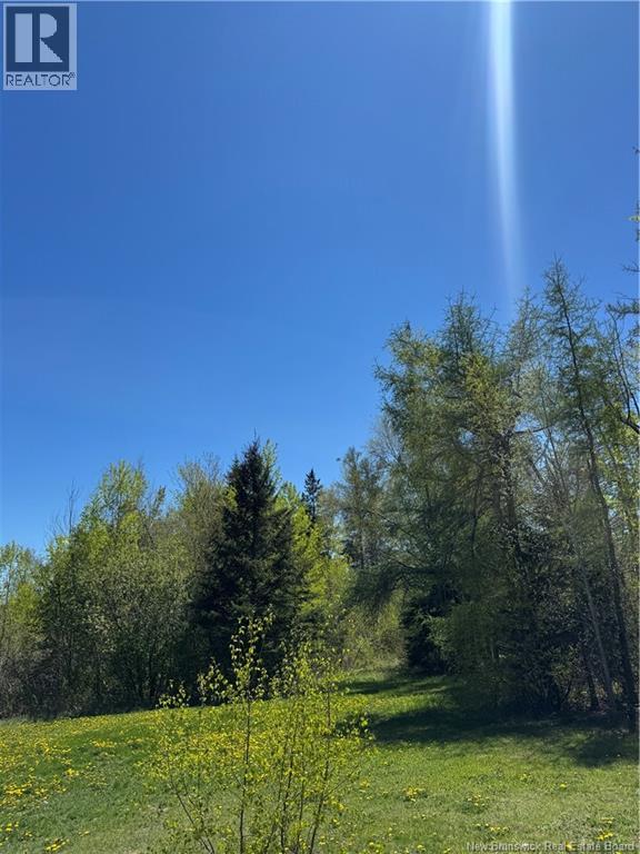 775 North Napan Road - 31
