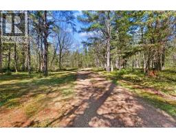 1500 Rte 116, Salmon River Rd, NB E4A1H4 Photo 48
