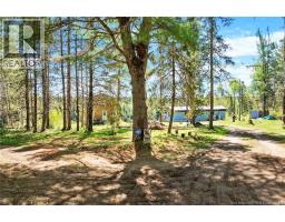 1500 Rte 116, Salmon River Rd, NB E4A1H4 Photo 14