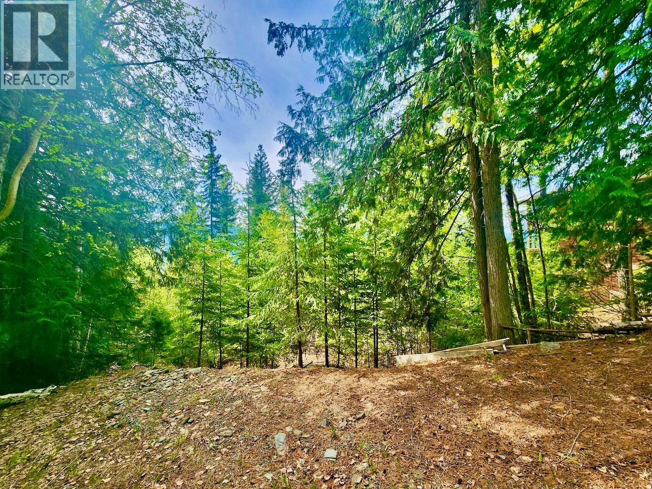 LOT 46 Lichen Road - main photo