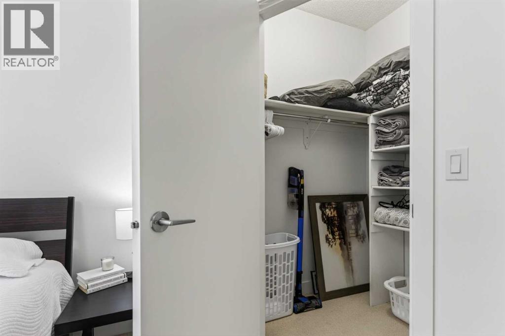 #301 315 24 Avenue SW - 29