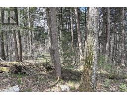 27681 Highway 60 Highway, South Algonquin, ON K0J2M0 Photo 10