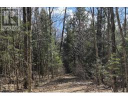 27681 Highway 60 Highway, South Algonquin, ON K0J2M0 Photo 11