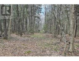 27681 Highway 60 Highway, South Algonquin, ON K0J2M0 Photo 12