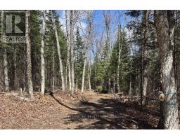 27681 Highway 60 Highway, South Algonquin, ON K0J2M0 Photo 13