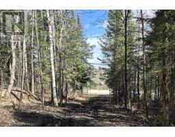 27681 Highway 60 Highway, South Algonquin, ON K0J2M0 Photo 14