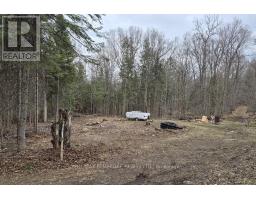 27681 Highway 60 Highway, South Algonquin, ON K0J2M0 Photo 15